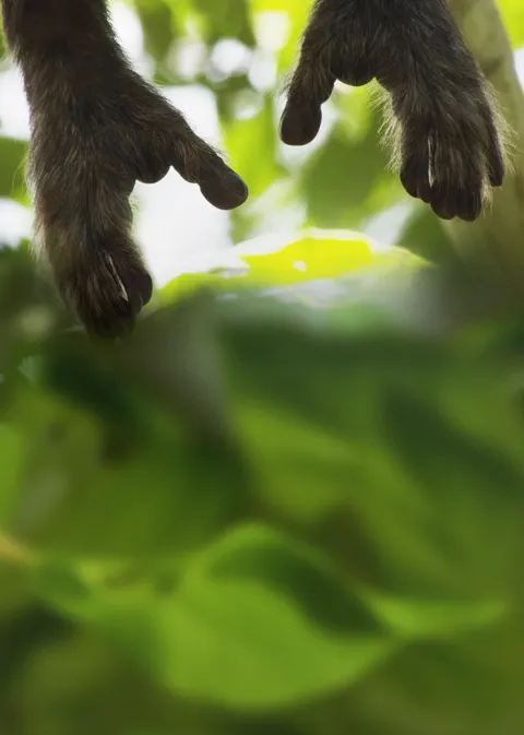 Земля — кадр 8