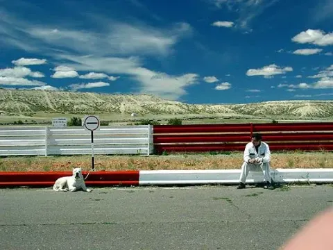 Аргентинский дог — кадр 1