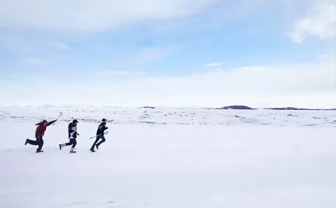 Гризли — кадр 1