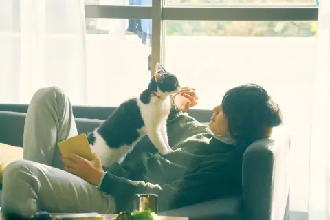 Хроники путешествующей кошки — кадр 9