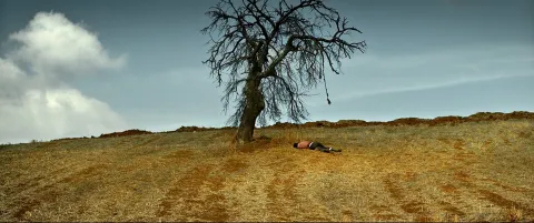 Дикая груша — кадр 7