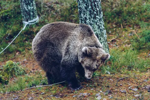 Пять минут тишины. Возвращение — кадр 9