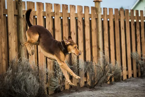 Путь домой — кадр 7