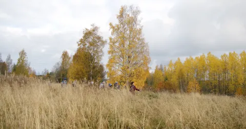 Простой карандаш — кадр 6