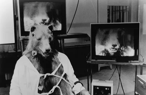 Вой 3 — кадр 2