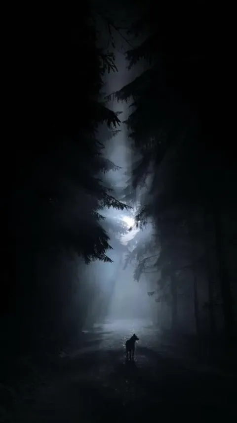 Фото на память — кадр 2