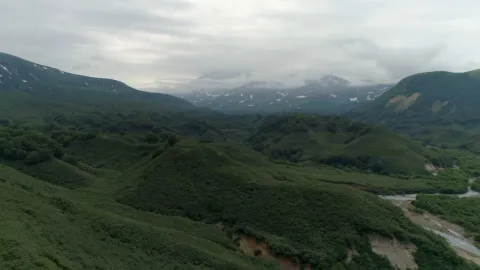 Медведи Камчатки. Начало жизни — кадр 5