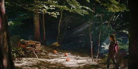 В стране фей — кадр 9
