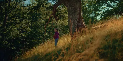 В стране фей — кадр 11