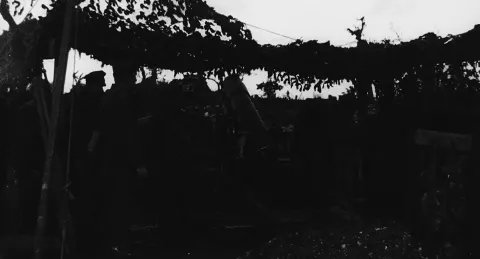 Они никогда не станут старше — кадр 7
