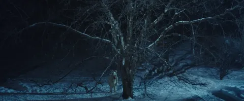 Магнус — кадр 6