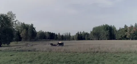 Воскресенский — кадр 4