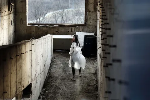 Клеймо — кадр 1