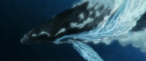 Дети моря — кадр 7
