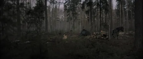 Естественный свет — кадр 5