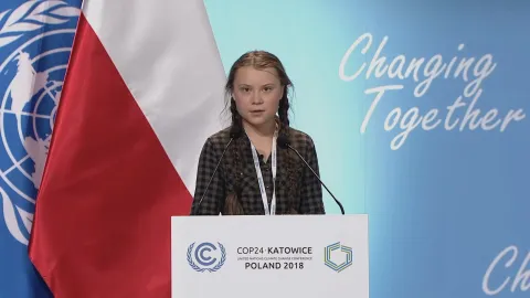 Я — Грета — кадр 1