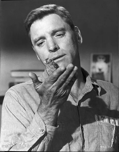 Любитель птиц из Алькатраса — кадр 3