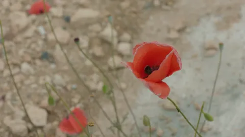 Солнце будет завтра — кадр 10