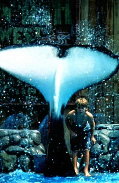 Освободите Вилли — кадр 4