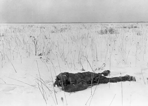 Удел человеческий — кадр 12