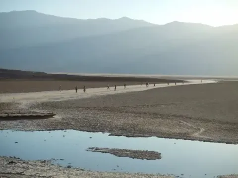 Древо жизни — кадр 3