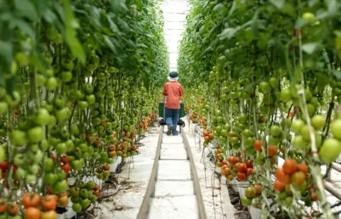 Под одной луной — кадр 3