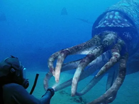 BBC: Прогулки с морскими чудовищами — кадр 1