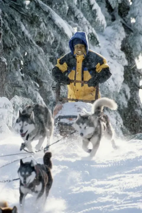 Снежные псы — кадр 1