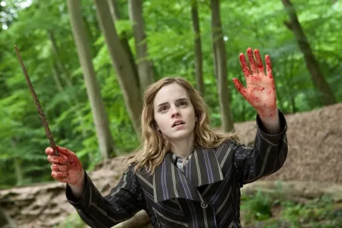 Гарри Поттер и Дары Смерти: Часть 1 — кадр 11