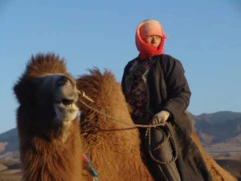 Свадьба Туи — кадр 3