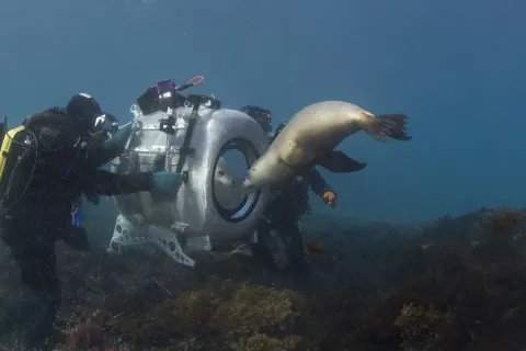 На глубине морской 3D — кадр 2