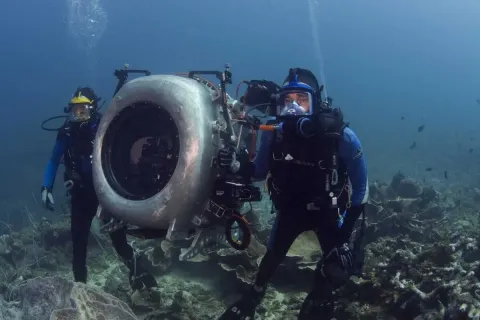 На глубине морской 3D — кадр 4