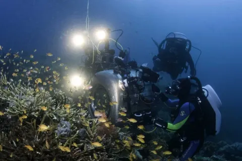 На глубине морской 3D — кадр 10