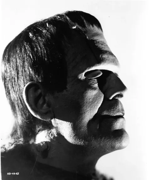 Сын Франкенштейна — кадр 6