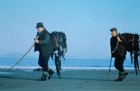 Поле — кадр 11