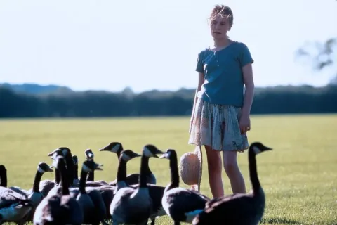 Летите домой — кадр 5