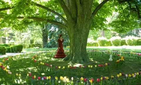 Фиби в Стране чудес — кадр 11
