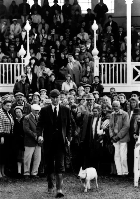 Бэйб: Четвероногий малыш — кадр 5