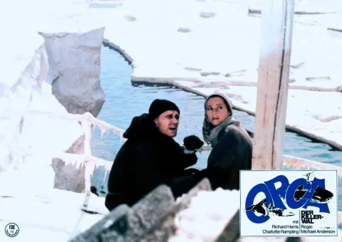 Смерть среди айсбергов — кадр 5