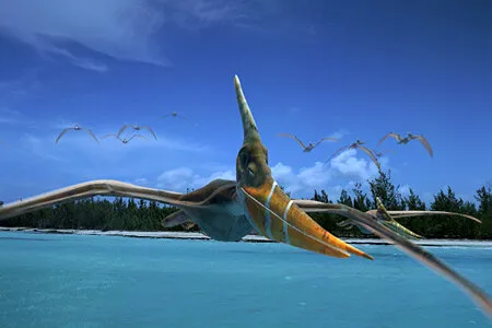 Чудища морей 3D: Доисторическое приключение — кадр 8