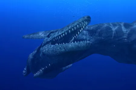 Чудища морей 3D: Доисторическое приключение — кадр 10