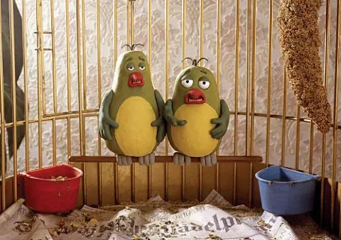 В мире животных — кадр 3