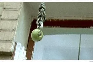 Займемся любовью — кадр 8
