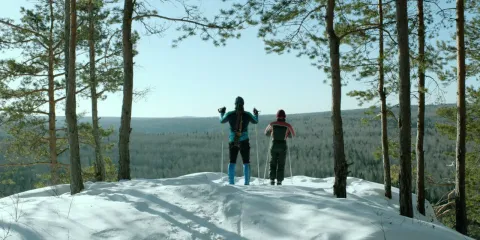 Подельники — кадр 3