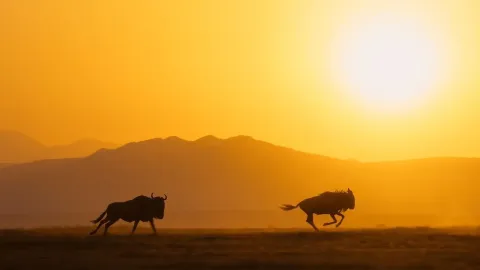 Идеальная планета — кадр 11