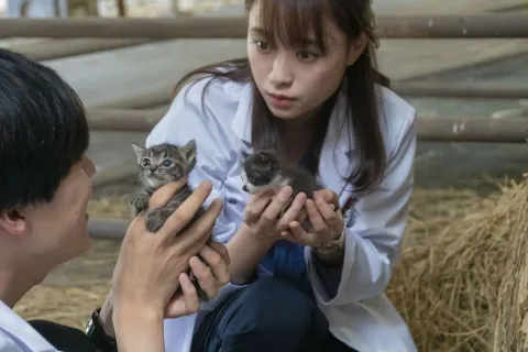 Клуб собак! — кадр 6