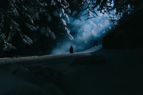 Голоса — кадр 3