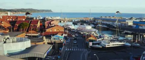 Украсть Рафаэля — кадр 8