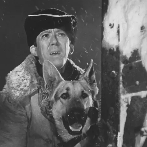 Ко мне, Мухтар! — кадр 5