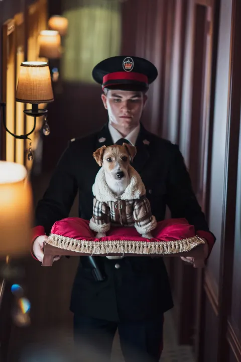 Джентльмен — кадр 9